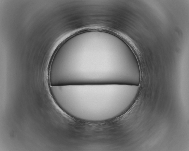 X0000113031335200908271047