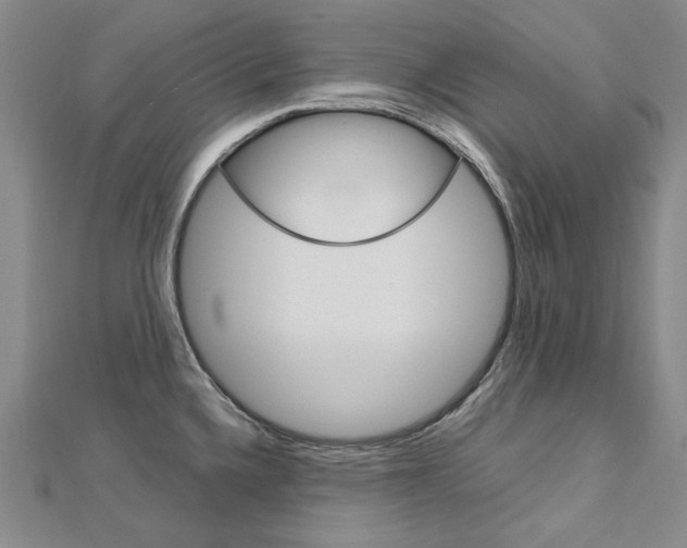 X0000113031336200908271047