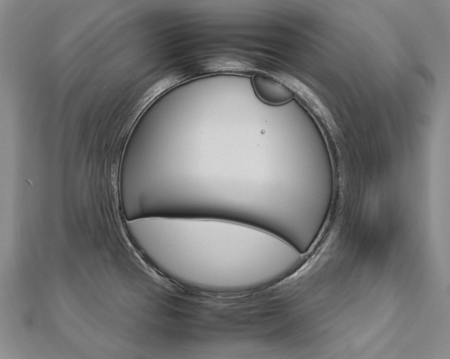 X0000113031337200908271047