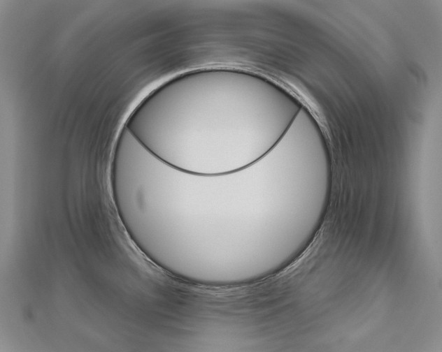 X0000113031340200908271047