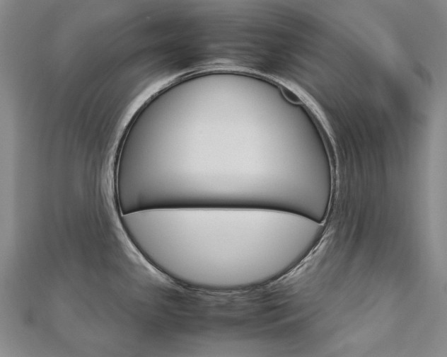 X0000113031341200908271047