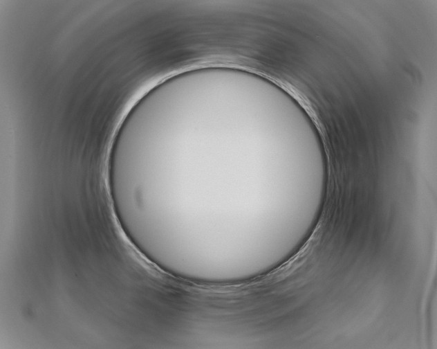 X0000113031342200908271047