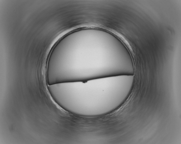 X0000113031343200908271047