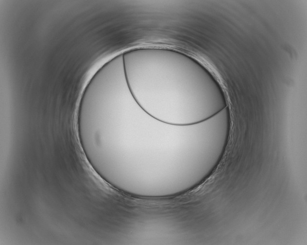 X0000113031344200908271047
