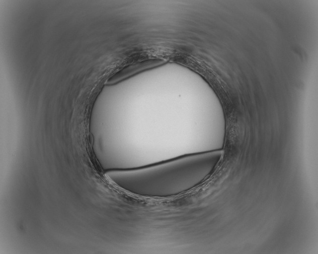 X0000113031345200908271046