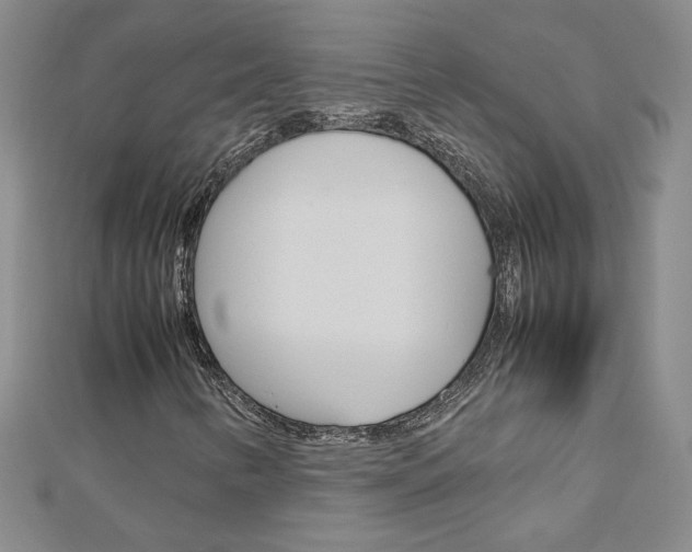 X0000113031346200908271046