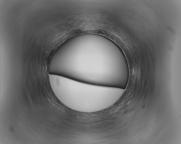 X0000113031348200908271046