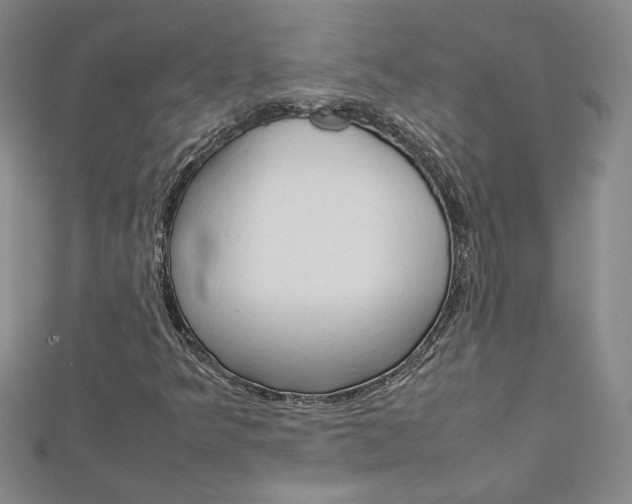 X0000113031349200908271046