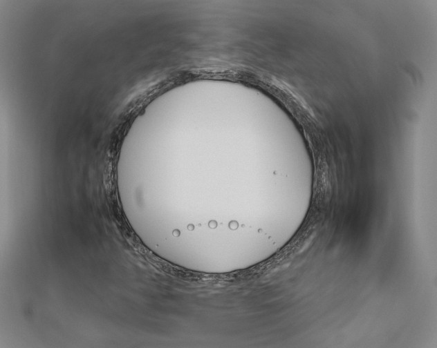 X0000113031350200908271046