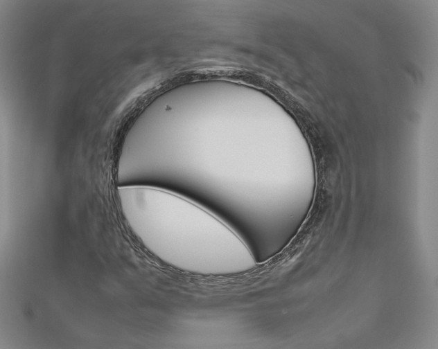 X0000113031351200908271046