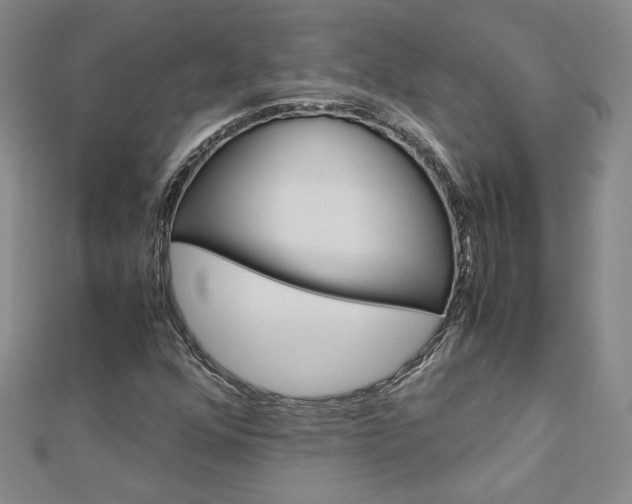 X0000113031352200908271046