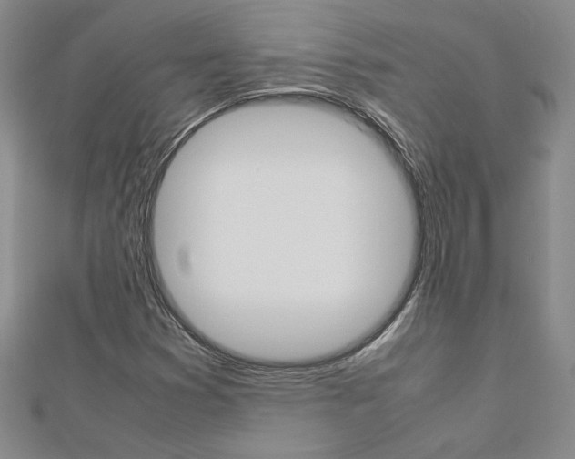 X0000113031353200908271046