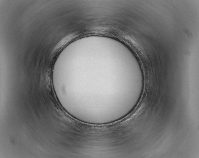 X0000113031354200908271046