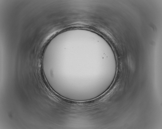 X0000113031355200908271046