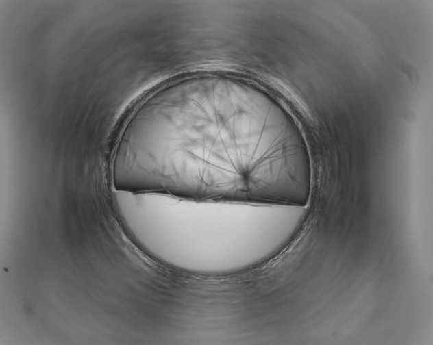 X0000113031356200908271046