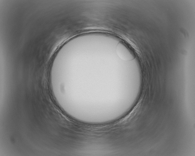 X0000113031357200908271046
