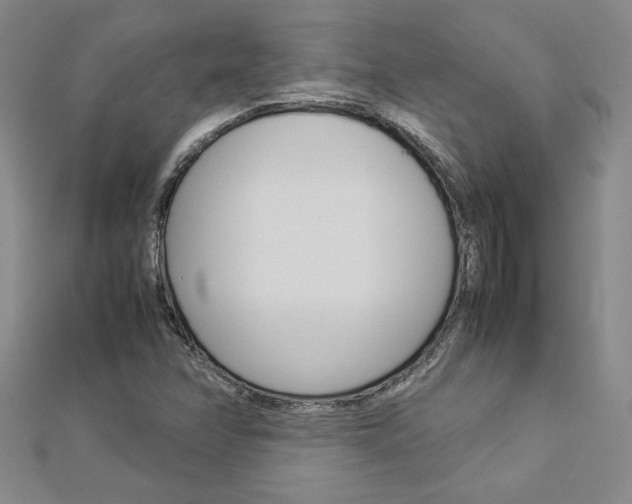 X0000113031358200908271046
