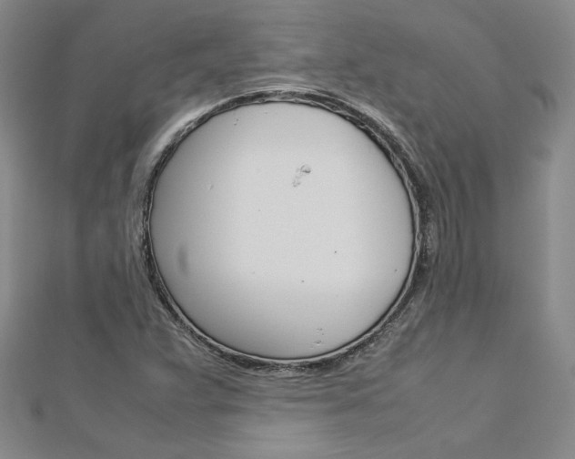 X0000113031359200908271046