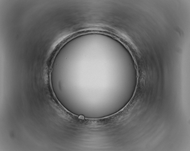 X0000113031360200908271046