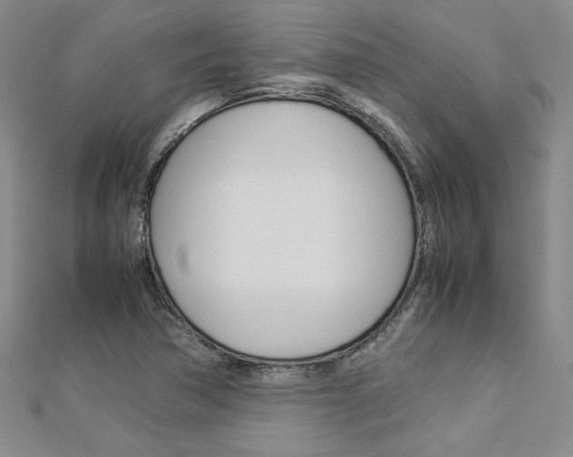 X0000113031362200908271046