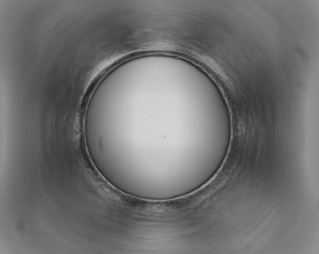X0000113031364200908271046