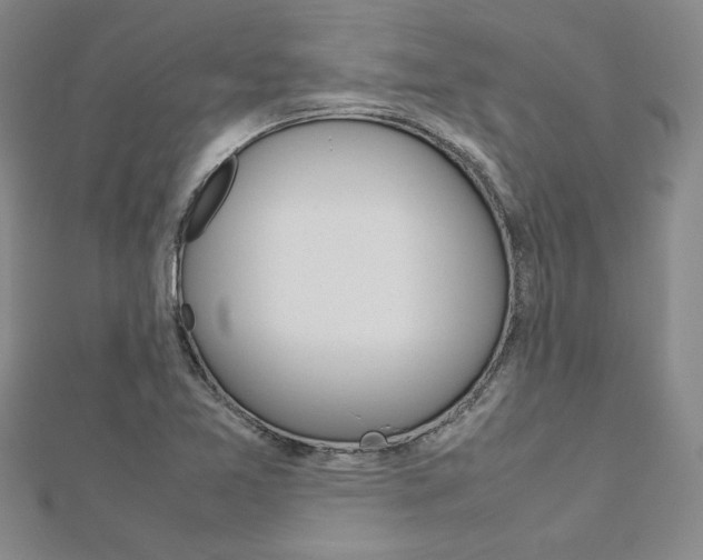 X0000113031365200908271046