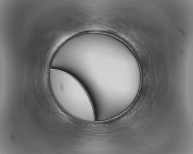 X0000113031367200908271046