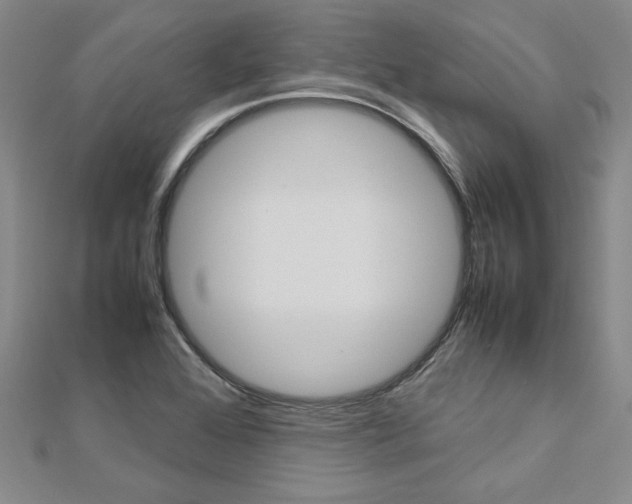 X0000113031368200908271046
