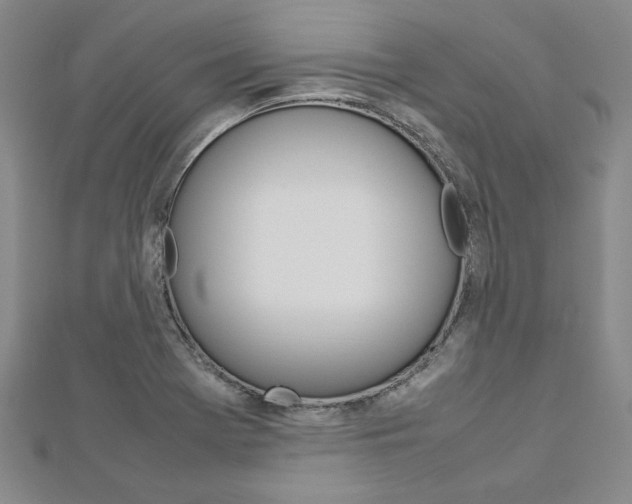 X0000113031369200908271046