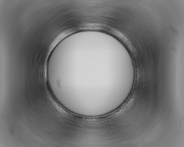 X0000113031370200908271046