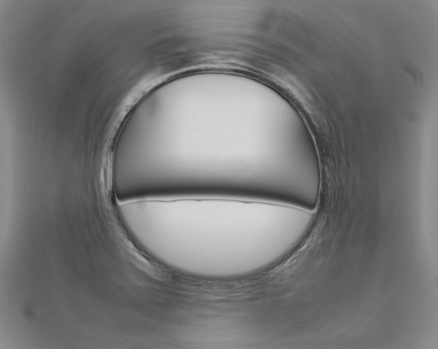X0000113031371200908271046