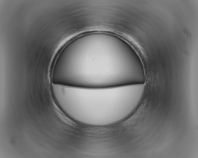 X0000113031372200908271046