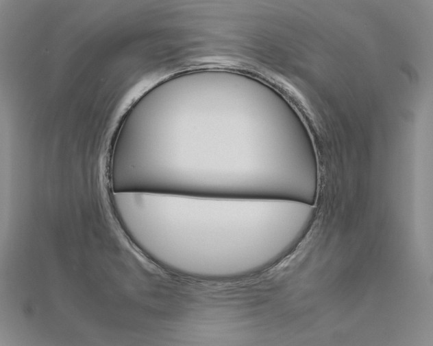 X0000113031373200908271046