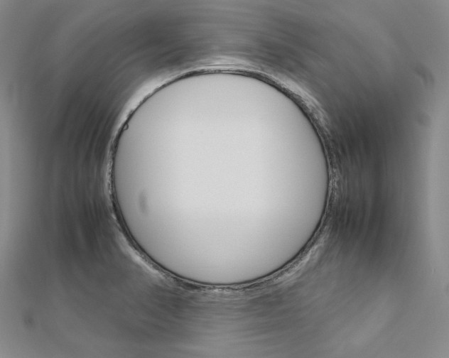 X0000113031374200908271046