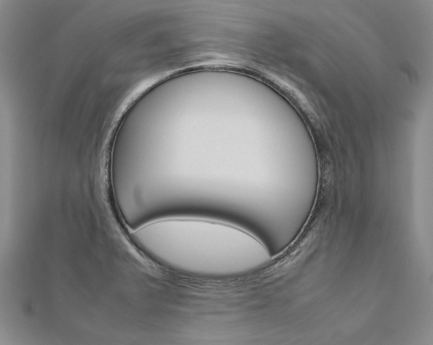 X0000113031375200908271046