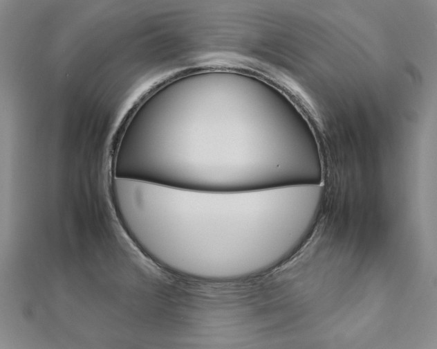 X0000113031376200908271046