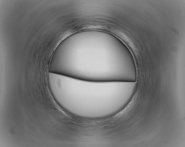 X0000113031377200908271046