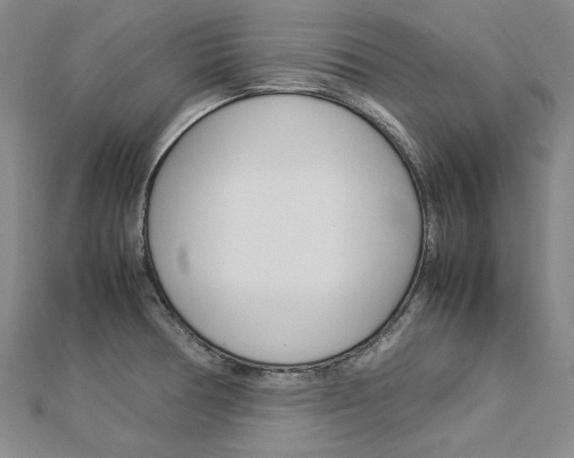 X0000113031378200908271046