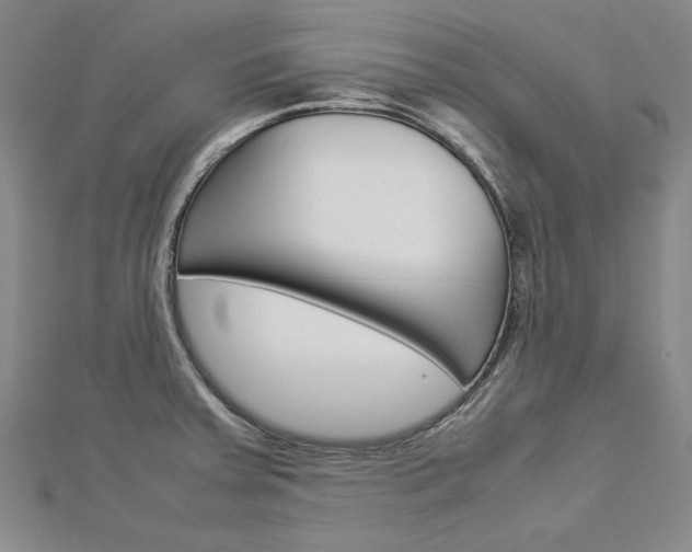 X0000113031379200908271046