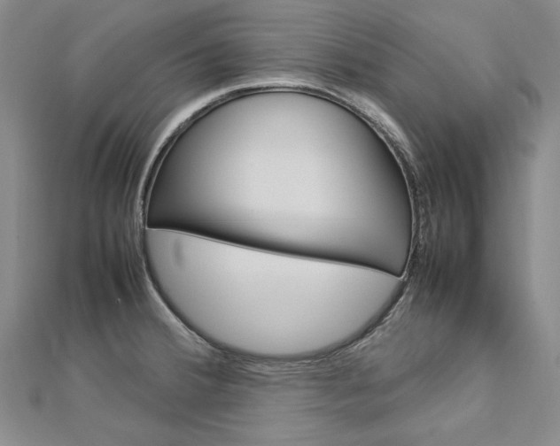 X0000113031380200908271046