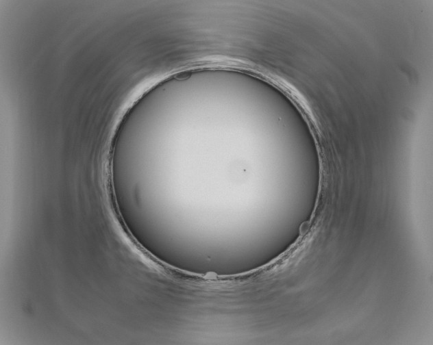 X0000113031381200908271046