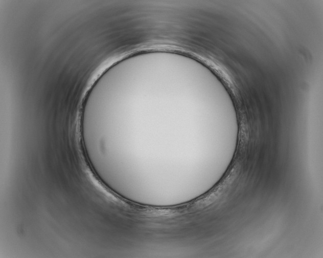 X0000113031382200908271046