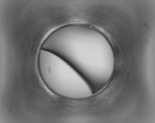 X0000113031383200908271046