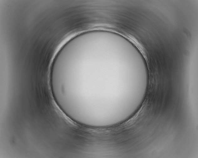 X0000113031384200908271046