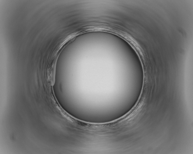 X0000113031385200908271046