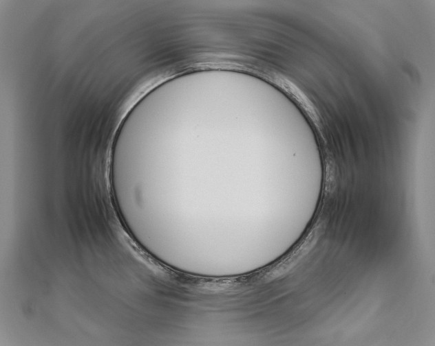 X0000113031386200908271046