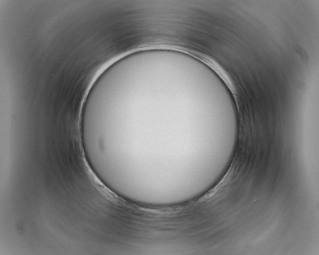 X0000113031388200908271046
