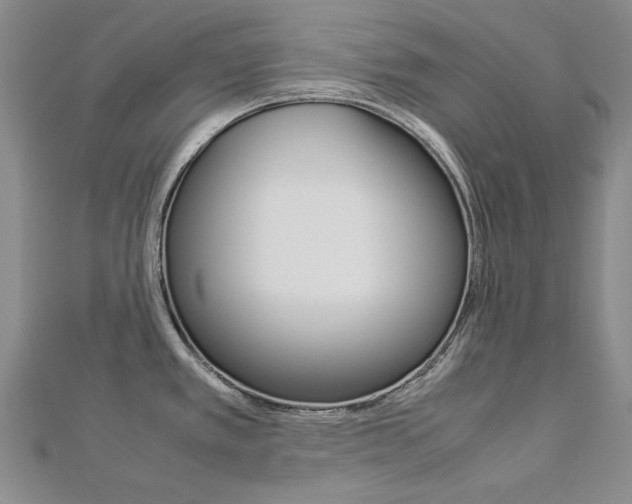 X0000113031389200908271046