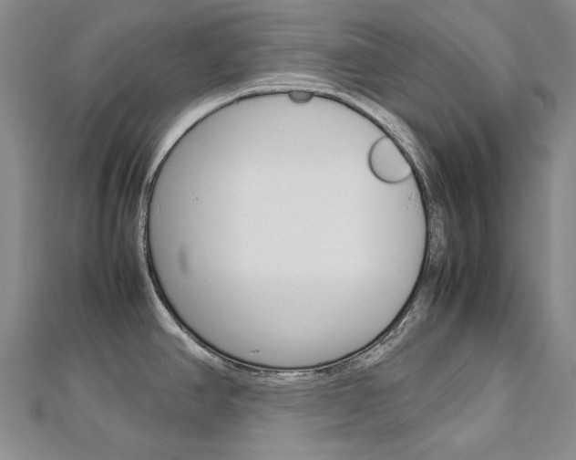 X0000113031390200908271045