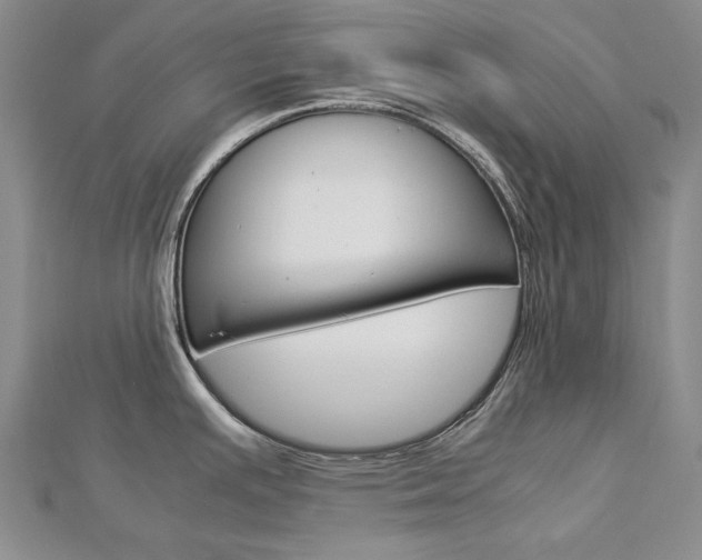 X0000113031391200908271045